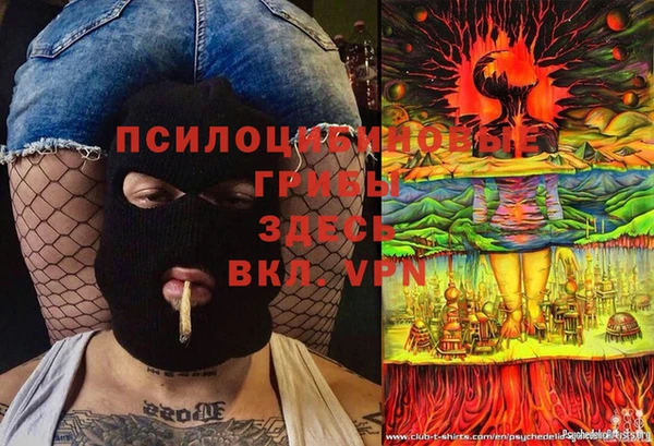 дмт Абаза