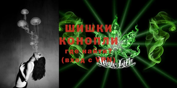 дмт Абаза