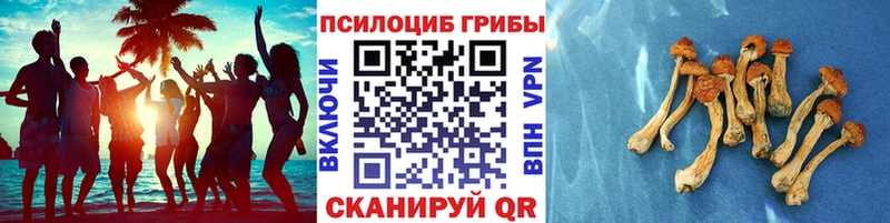 Галлюциногенные грибы Magic Shrooms  маркетплейс формула  Комсомольск-на-Амуре 