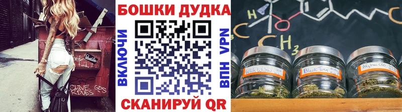 Каннабис сатива наркота Комсомольск-на-Амуре